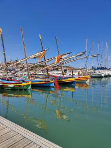 Hotels The Originals City, Hotel L'Hippocampe, Sete Balaruc-le-Vieux : photos des chambres