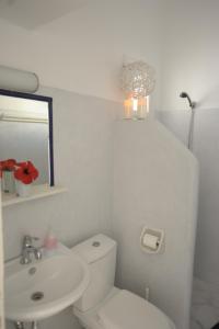 Galatis Beach Hotel Paros Greece