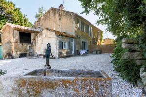 Le Gran Cabano sous les oliviers