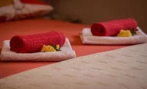 Apartments Ratkovic - Orahovac