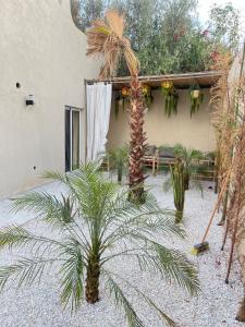 Villa Elysia Marrakech, Piscine sans vis à vis