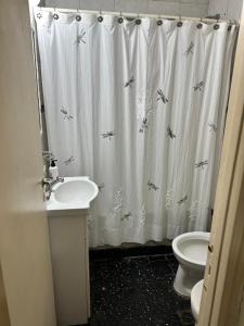 Cómodo departamento para 4 o 6 frente al Casino Mar del Plata