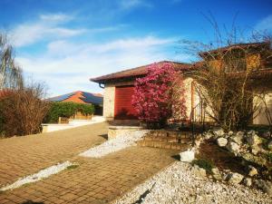 M3 green Oasis deluxe