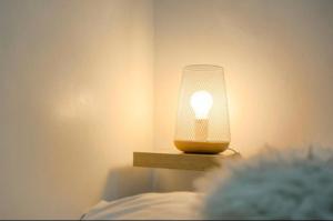 Appartements Charme et cosy en hypercentre : photos des chambres