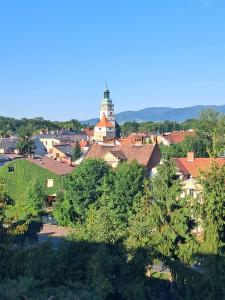 Noclegi Mieszkanie Kuchnia Żywiec