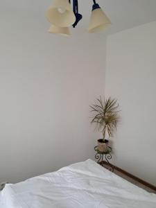 Noclegi Mieszkanie Kuchnia Żywiec