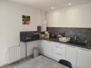Appartements Le Cocoon : photos des chambres