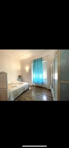 Cassiopea img13