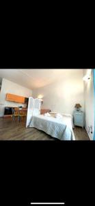 Cassiopea img15
