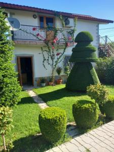 Zekajs Home - Ubytování bez kategorie ve městě Skadar