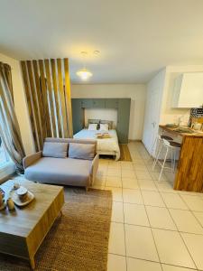 Appartements Charmant studio refait a neuf, centre du Mans et terrasse privee : photos des chambres