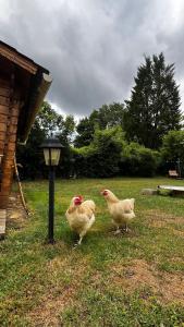 La Suite de la Villa