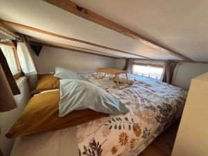 Chalets La Tiny du Luberon : photos des chambres