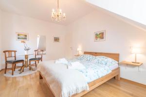 Trubarjeva 12 - The view