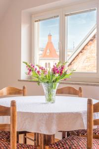 Trubarjeva 12 - The view