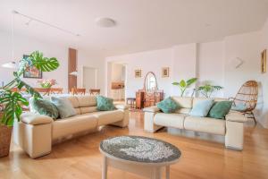 Trubarjeva 12 - The view 