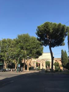 Centralissima Collegatissima