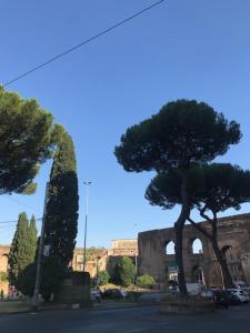 Centralissima Collegatissima