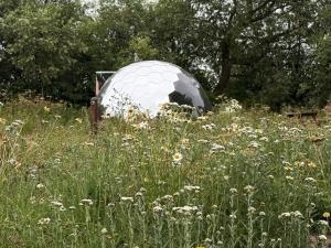 Acorn Glade Glamping York