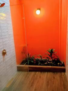 La Shamana - Ecological Concept in Jungle