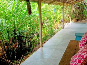 La Shamana - Ecological Concept in Jungle