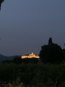 Assisi Suite Apartment con annessa Tavernetta La Lavanda