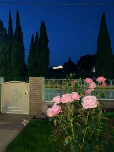 Assisi Suite Apartment con annessa Tavernetta La Lavanda