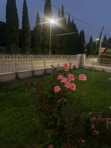 Assisi Suite Apartment con annessa Tavernetta La Lavanda