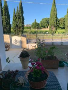 Assisi Suite Apartment con annessa Tavernetta La Lavanda