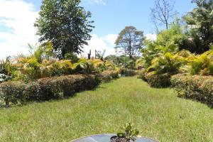 Casa Finca El Peñol Antioquia