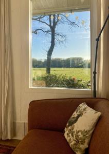 Boshuisje Doldersum: omheinde tuin en uniek uitzicht