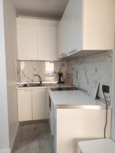 Green Studio Apartment