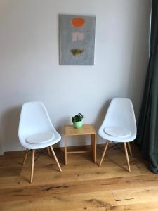 Bright loft 110 sqm with great roof terrace 100 sqm