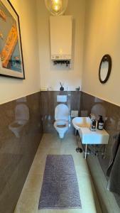 Bright loft 110 sqm with great roof terrace 100 sqm