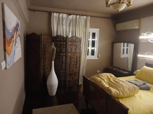 الشقق الفندقيه بعباس العقاد