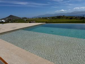 Asana 2