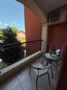 Студио Ервина