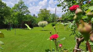 Къщи за гости Костови