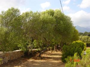 Villas Tozzasim : photos des chambres