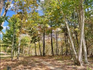 Lily Pad Modern Mountain Chalet on 19 Private Acres with Fire Pit