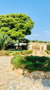 Dionysus Residence Pikermi