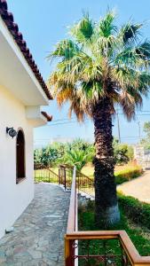 Dionysus Residence Pikermi