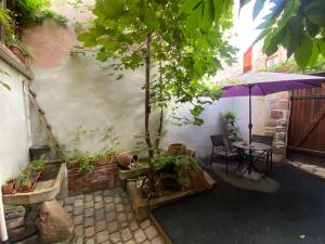 Appartements Gite le Chaudron : photos des chambres