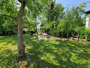 Apartments in Balatonlelle - Balaton 19159