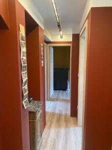 Le RiedExpress " Europa-Park"