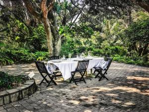 Beachfront petfriendly cottage