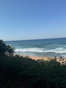 Beachfront petfriendly cottage