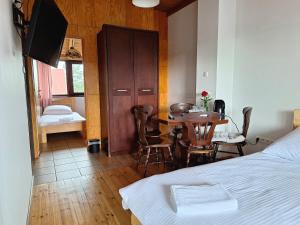 Nowa Villa Zosieńka