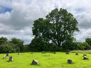 Butterfly Cottage Retreat - Private Studio Getaway