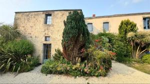 Maisons de vacances Gite de charme - 30 min de la Mer & Puy du Fo : Maison 2 Chambres